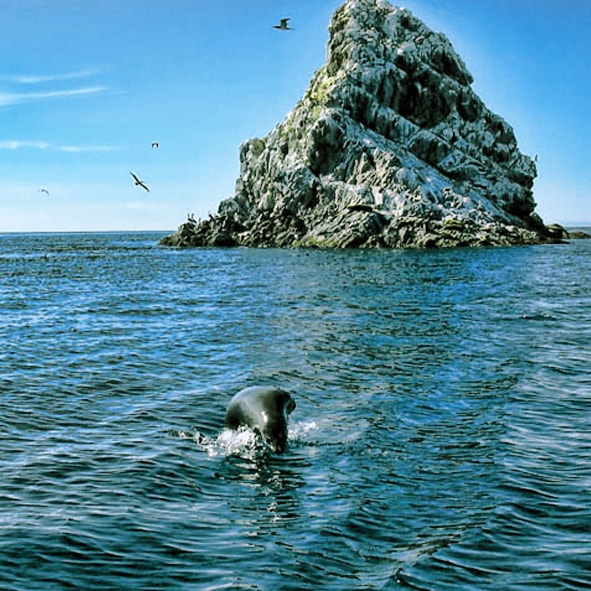Explorar la Isla San Jorge en las costas de Sonora 